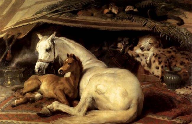 Sir Edwin Landseer The Arab Tent oil painting image